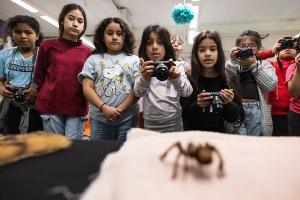 Madison Students Combine Animal and Photography Learning